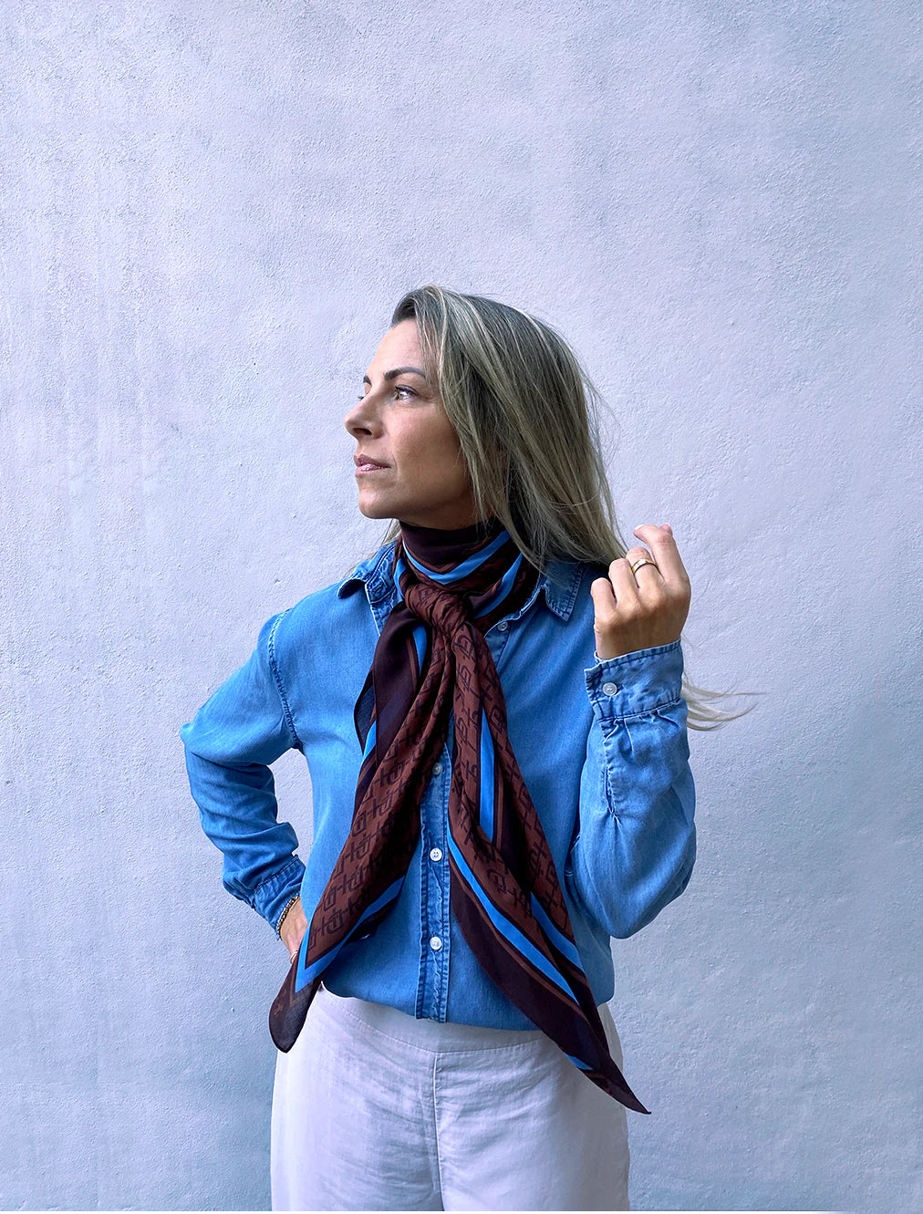 Dark Hampton Cashmere Modal Scarf - The Divan