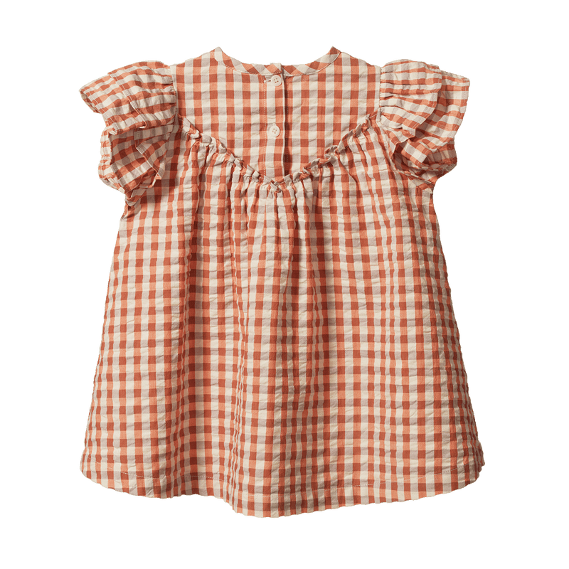 Nature Baby Una Dress Dandelion Gingham