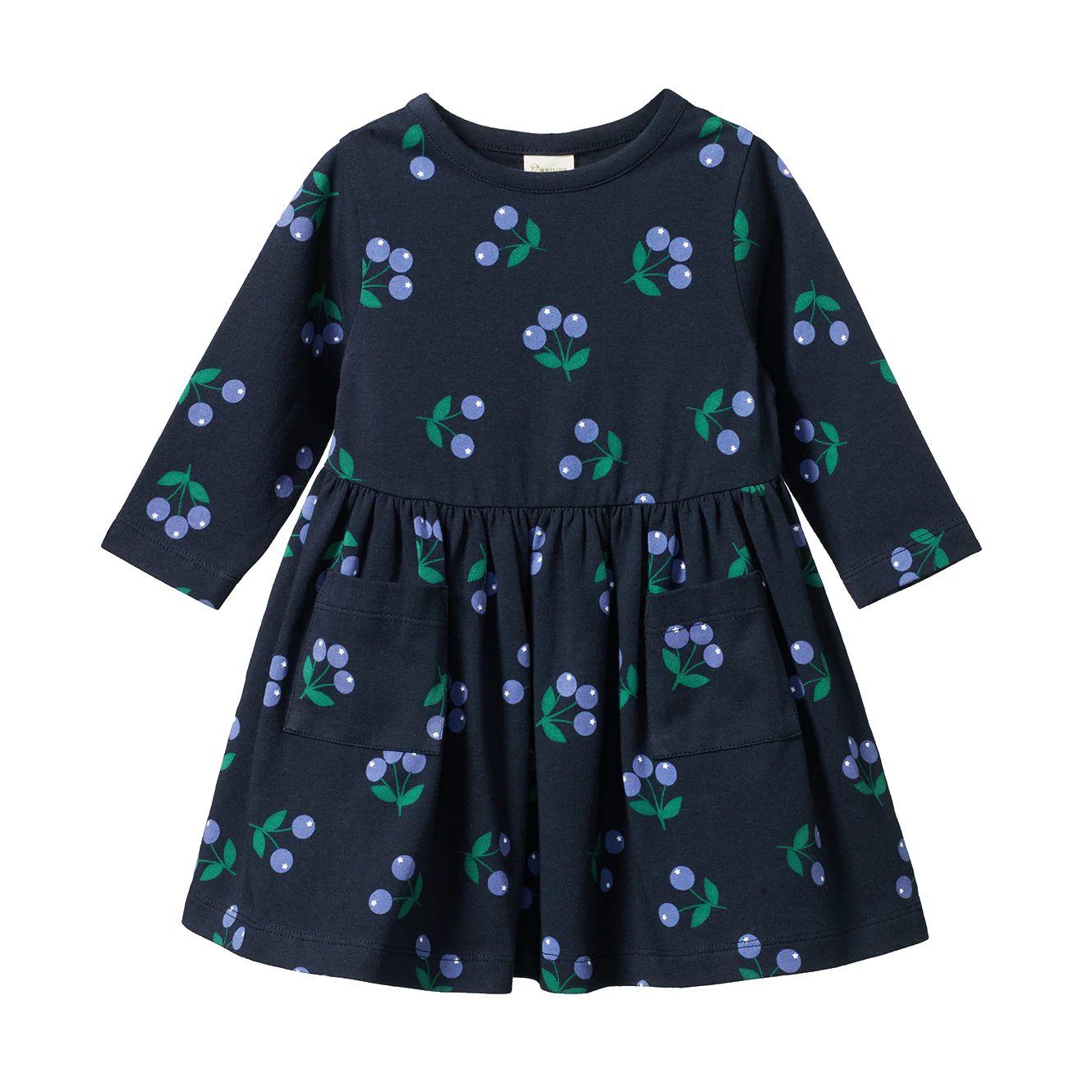 Nature Baby Long Sleee Twirl Dress - Winter Berry Navy Print