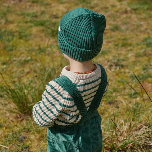 Nature Baby Billy Jumper - Pine Sailor Stripe