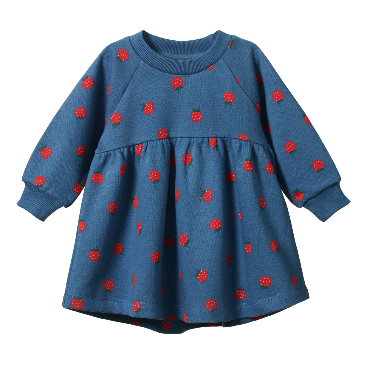 Nature Baby Ines Dress - Raspberry Blue Print
